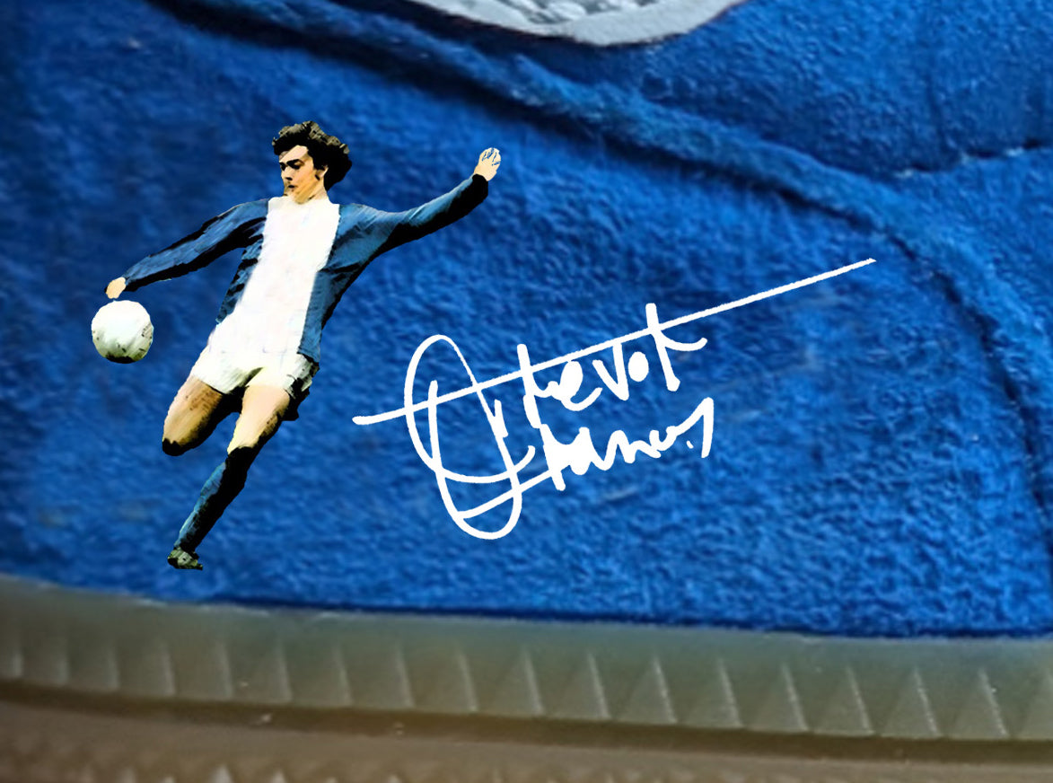 Limited edition Birmingham City Trevor Francis blue / white Adidas custom Handball Spezial trainers /sneakers